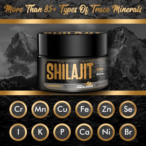 shilajit gr100